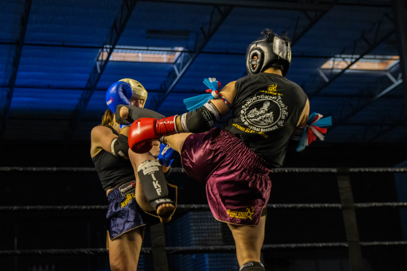 Fight night in the ring